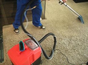 Бизнес идеи: чистка ковров на дому