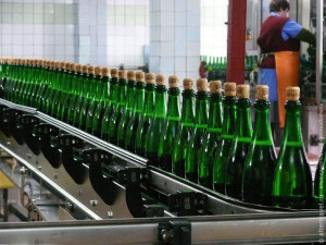 Бизнес идеи: завод шампанских вин