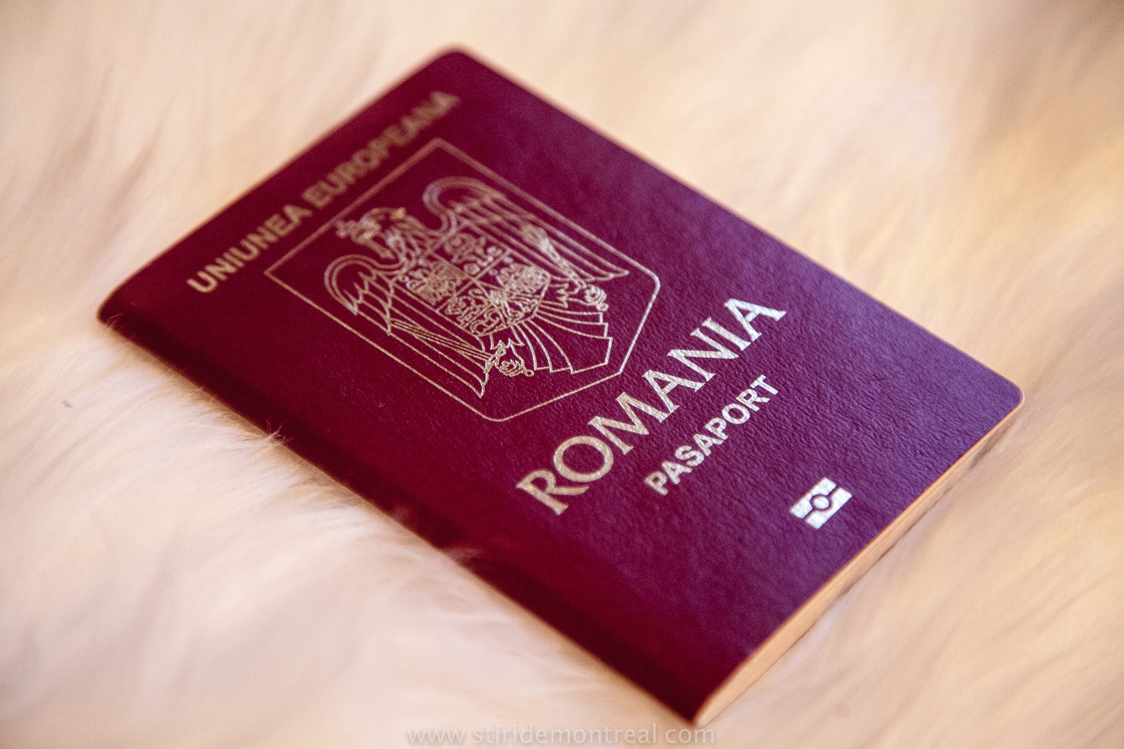 Преимущества румынского паспорта в глобальном предпринимательстве